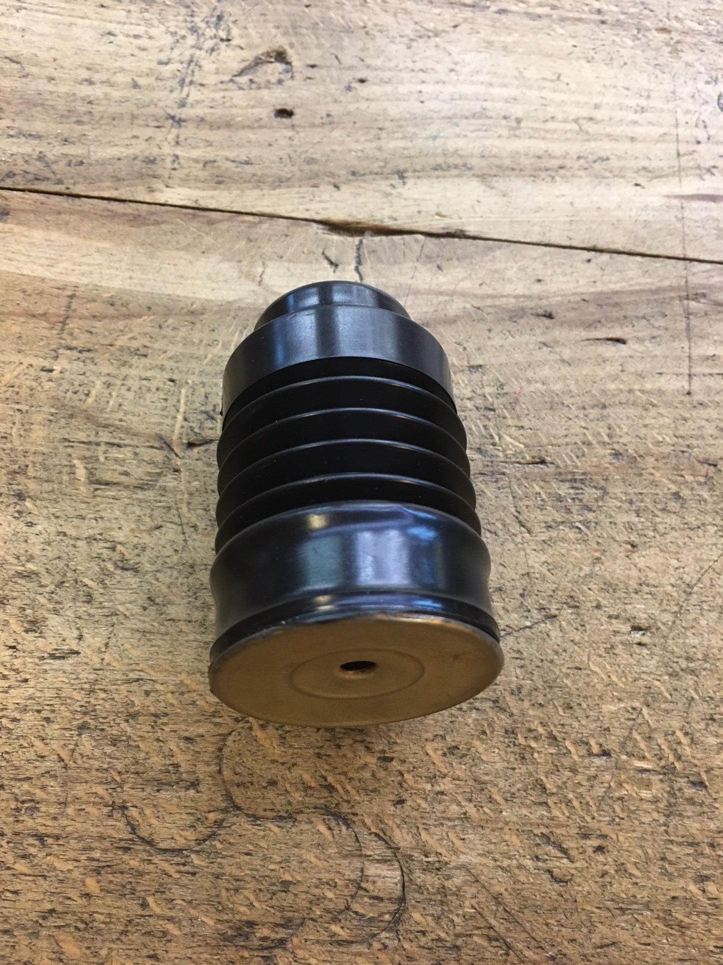 Call for bellows blackbird