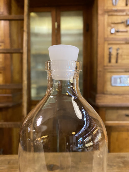 Hippocampus water bottle 