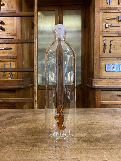 Hippocampus water bottle 