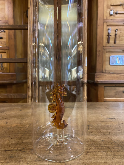 Hippocampus water bottle 