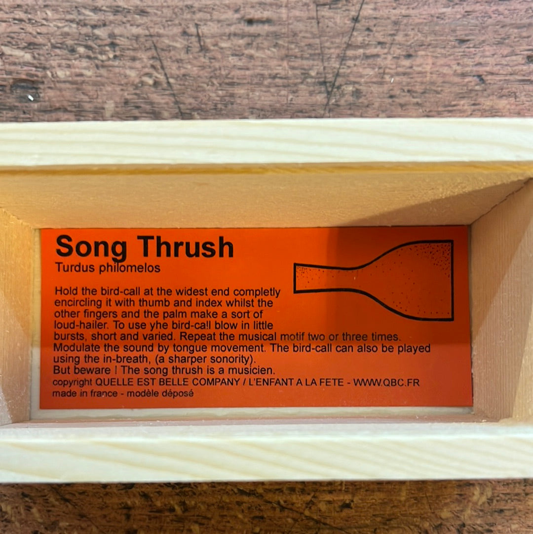 Wooden Thrush decoy