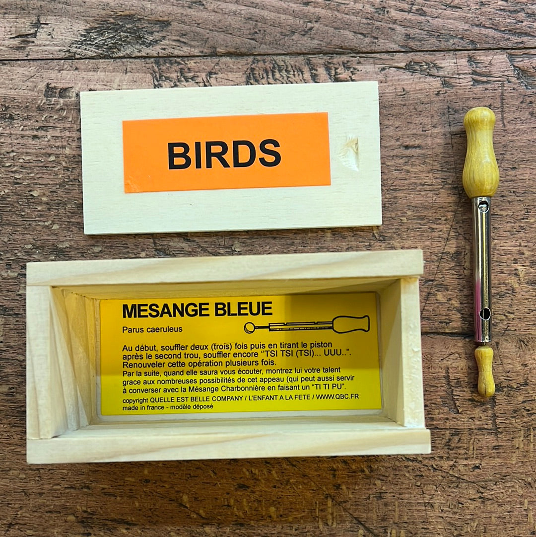 Recall for Wooden Blue Tit!