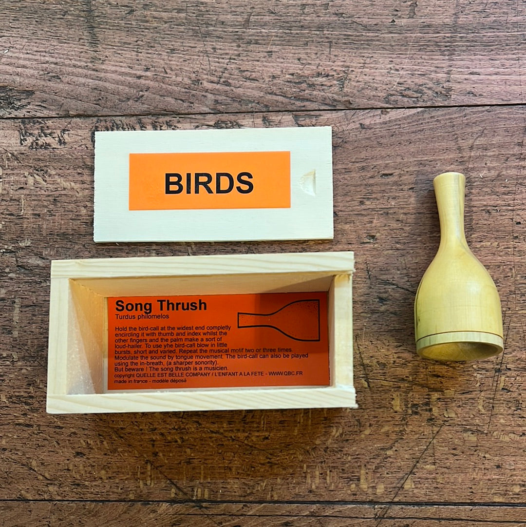 Wooden Thrush decoy