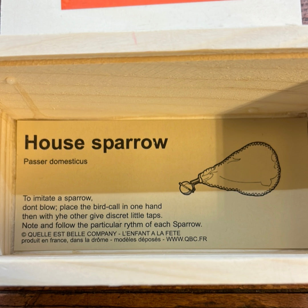 Call for Common Sparrow