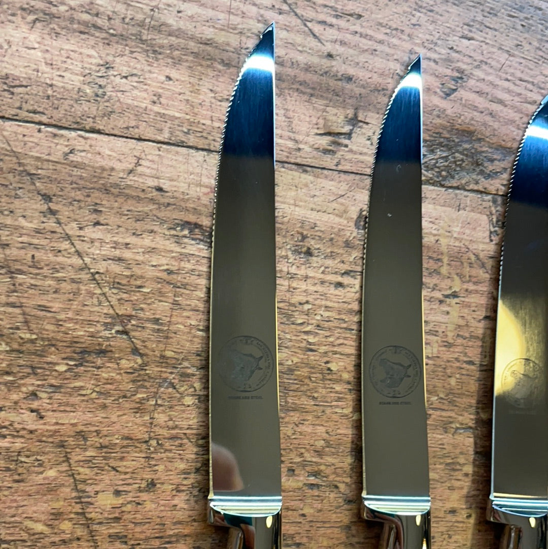 Set 4 coltelli tavola