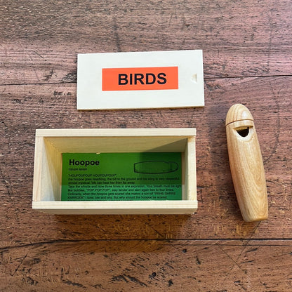 Hoopoe recall