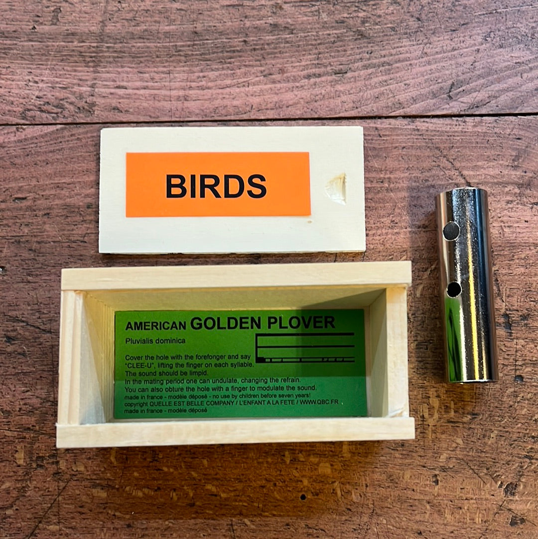 Call for Lesser Golden Plover or American Golden Plover