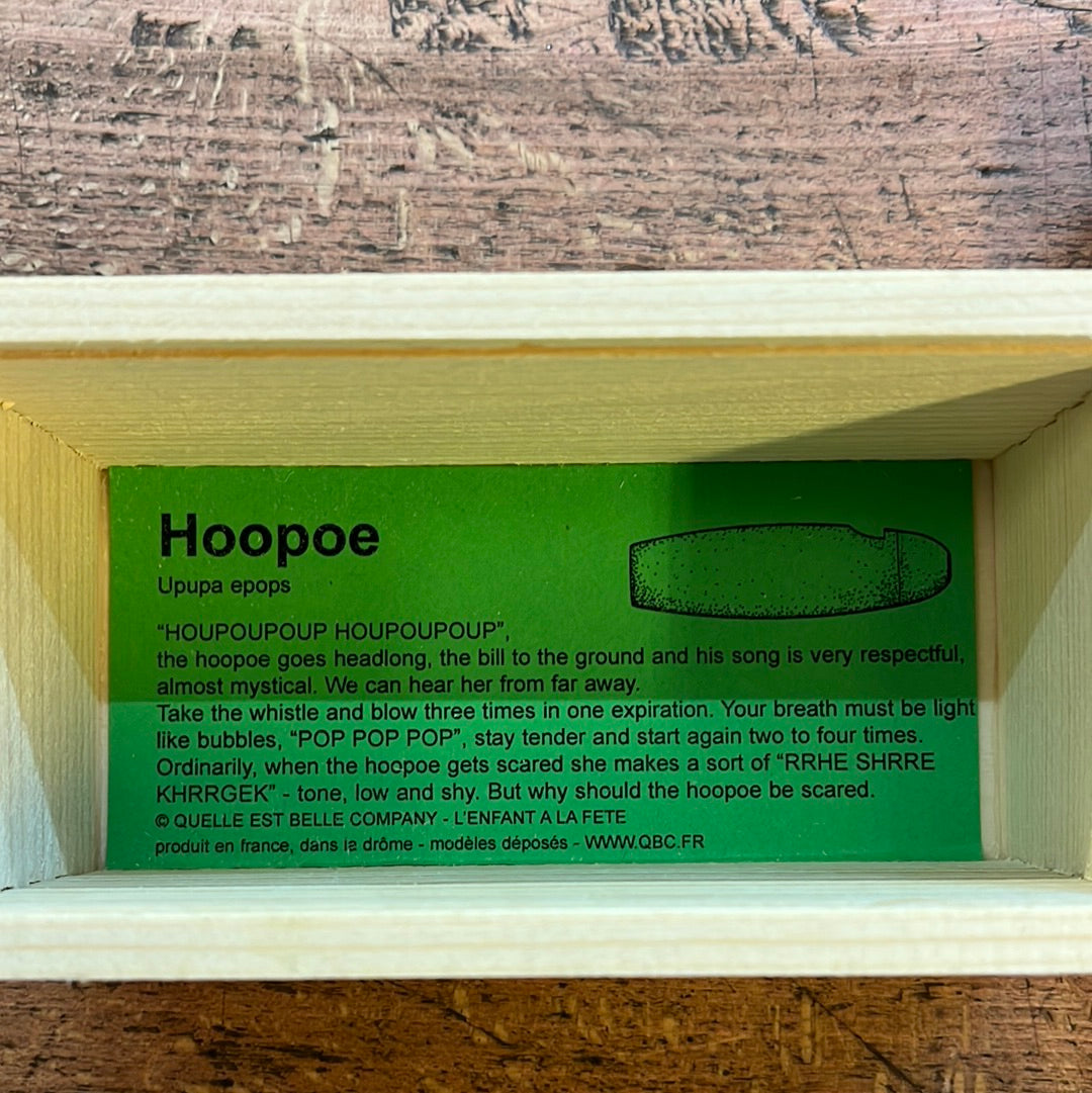 Hoopoe recall