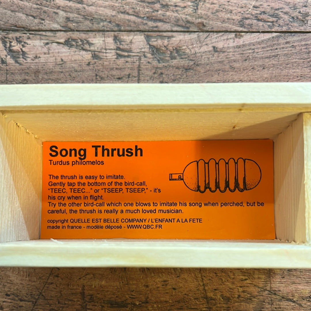 Rubber thrush decoy