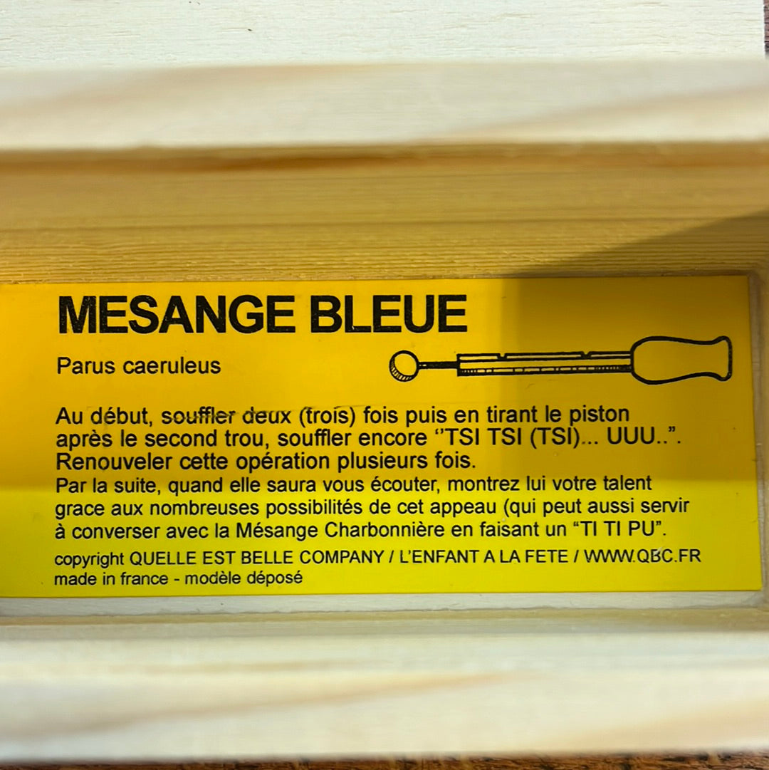 Recall for Wooden Blue Tit!