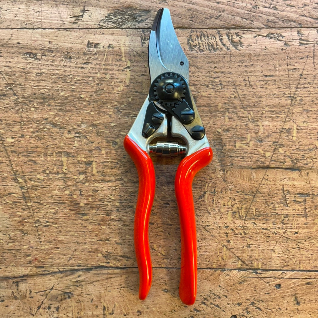 Forbici Felco 6