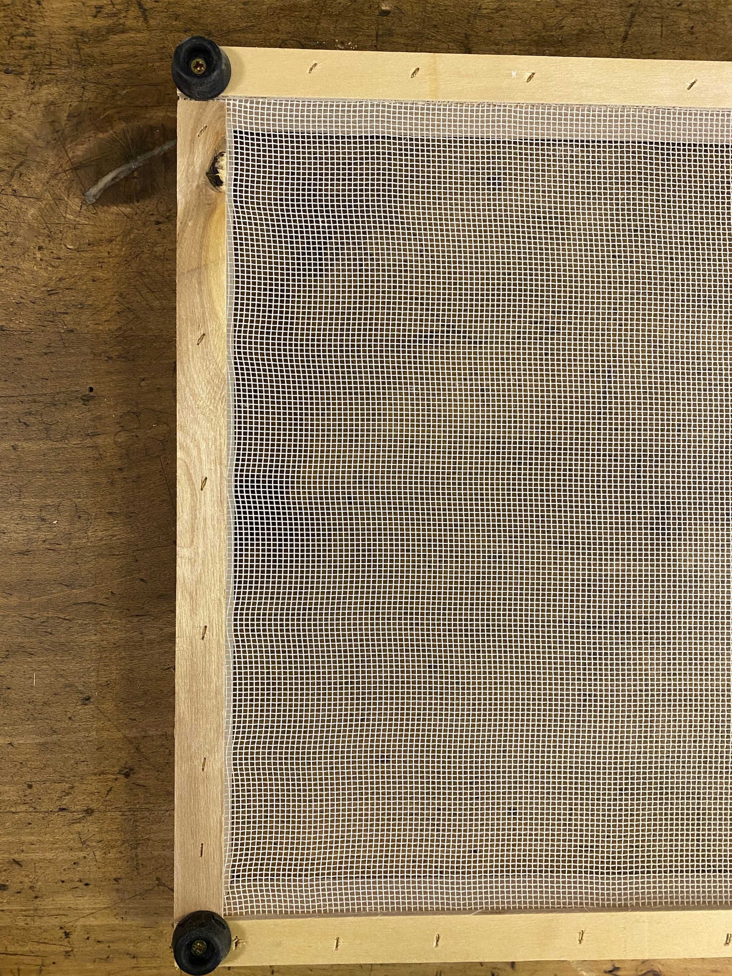 Secca pasta 40X50